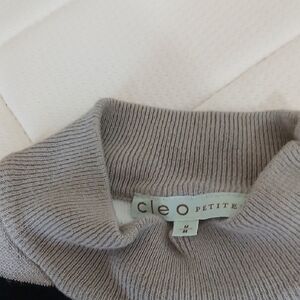 cleo Petite Women's Light Gray Ribbed Turtleneck Sweater